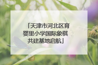 天津市河北区育婴里小学国际象棋共建基地启航